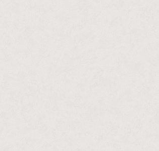 Hygge Roll Made in Russia MIR5 002/2 для спальни для гостиной для кабинета для загородного дома для комнаты для прихожей серый светло-серый